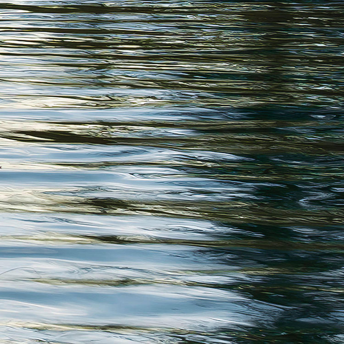 Komar Fototapete Am Ende des Tages B/L: ca. 300x280 cm Am Ende des Tages - (300,00/280,00cm) - Komar