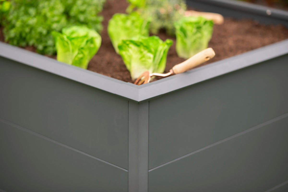 Westmann Hochbeet Primus XL anthrazit Metall B/H/T: ca. 200x77x100 cm Primus XL - anthrazit (200,00/77,00/100,00cm) - Westmann