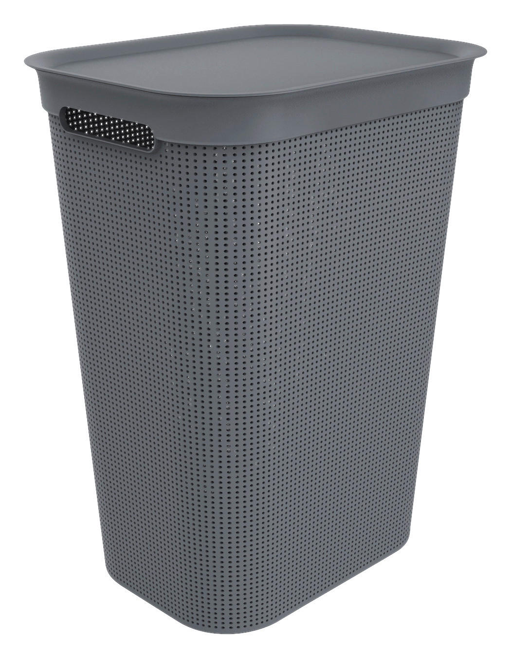 Rotho Wäschebox schwarz B/H/L: ca. 34x52,9x43,1 cm Wäschebox_Brisen 50l - schwarz (43,10/34,00/52,90cm) - Rotho