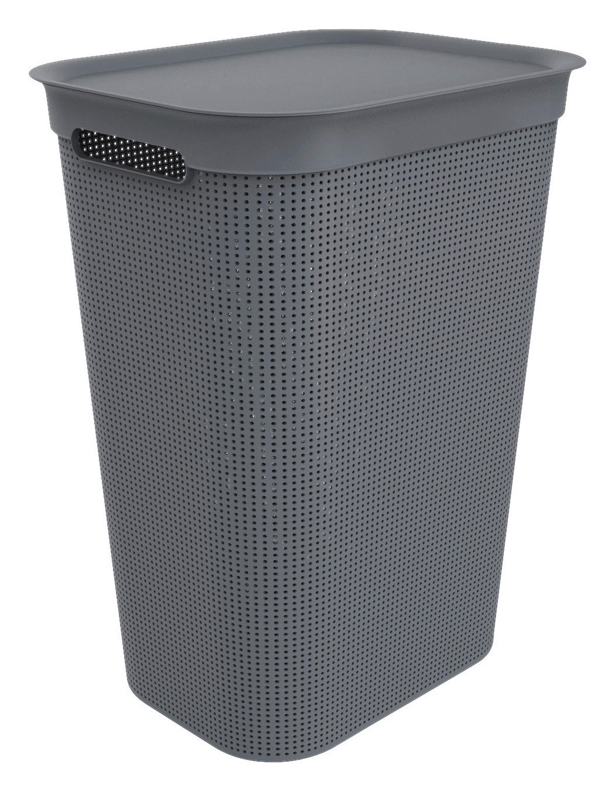 Rotho Wäschebox schwarz B/H/L: ca. 34x52,9x43,1 cm Wäschebox_Brisen 50l - schwarz (43,10/34,00/52,90cm) - Rotho