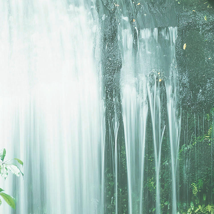 Komar Fototapete Secret Veil B/L: ca. 450x280 cm Secret Veil - (450,00/280,00cm) - Komar