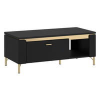 Couchtisch Norica schwarz matt gold Optik B/H/T: ca. 110x46x65 cm Norica - gold/schwarz (110,00/46,00/65,00cm)