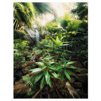 Komar Fototapete Spirit B/L: ca. 200x260 cm Spirit - (200,00/260,00cm) - Komar