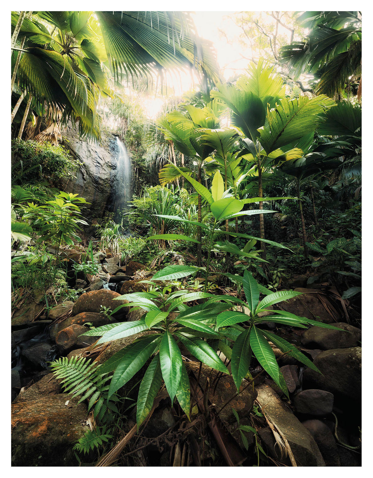 Komar Fototapete Spirit B/L: ca. 200x260 cm Spirit - (200,00/260,00cm) - Komar