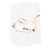 Komar Poster Sleepy Bunny Waldtiere B/L: ca. 50x70 cm Sleepy Bunny - (50,00/70,00cm) - Komar