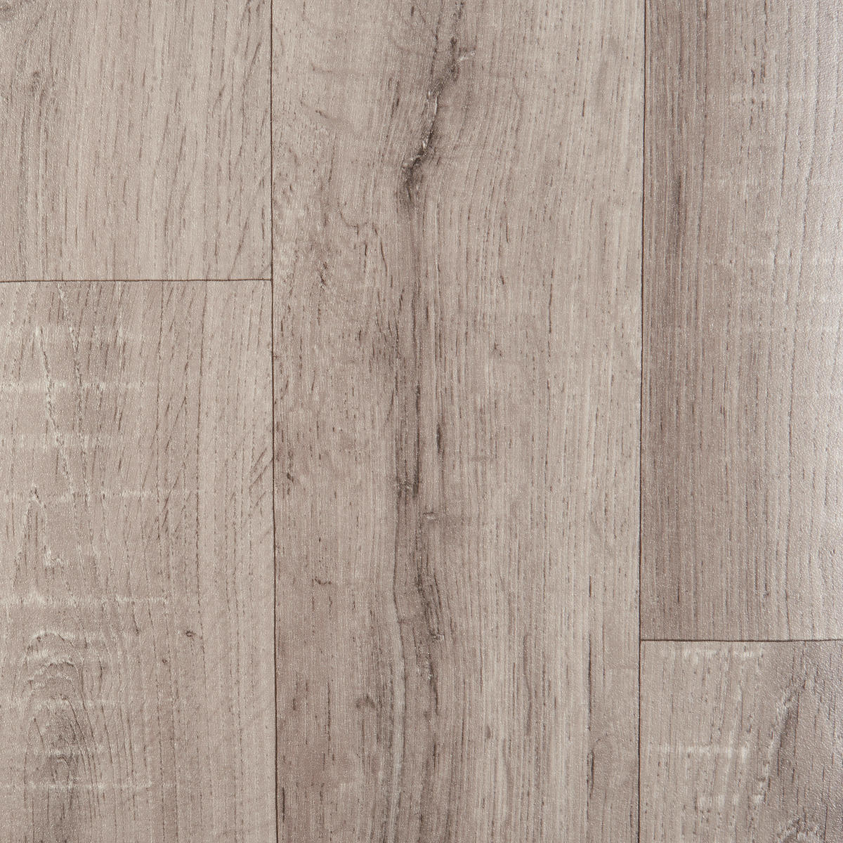 Vinylboden Bingo grau Eiche B: ca. 200 cm pro m² Bingo - grau (200,00cm)