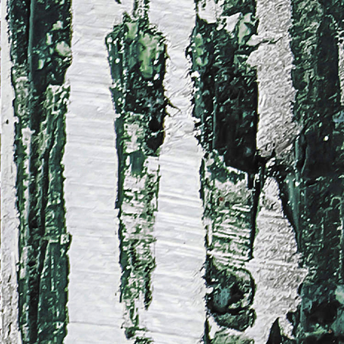 Komar Fototapete Fringe Upswept B/L: ca. 500x280 cm Fringe Upswept - (500,00/280,00cm) - Komar