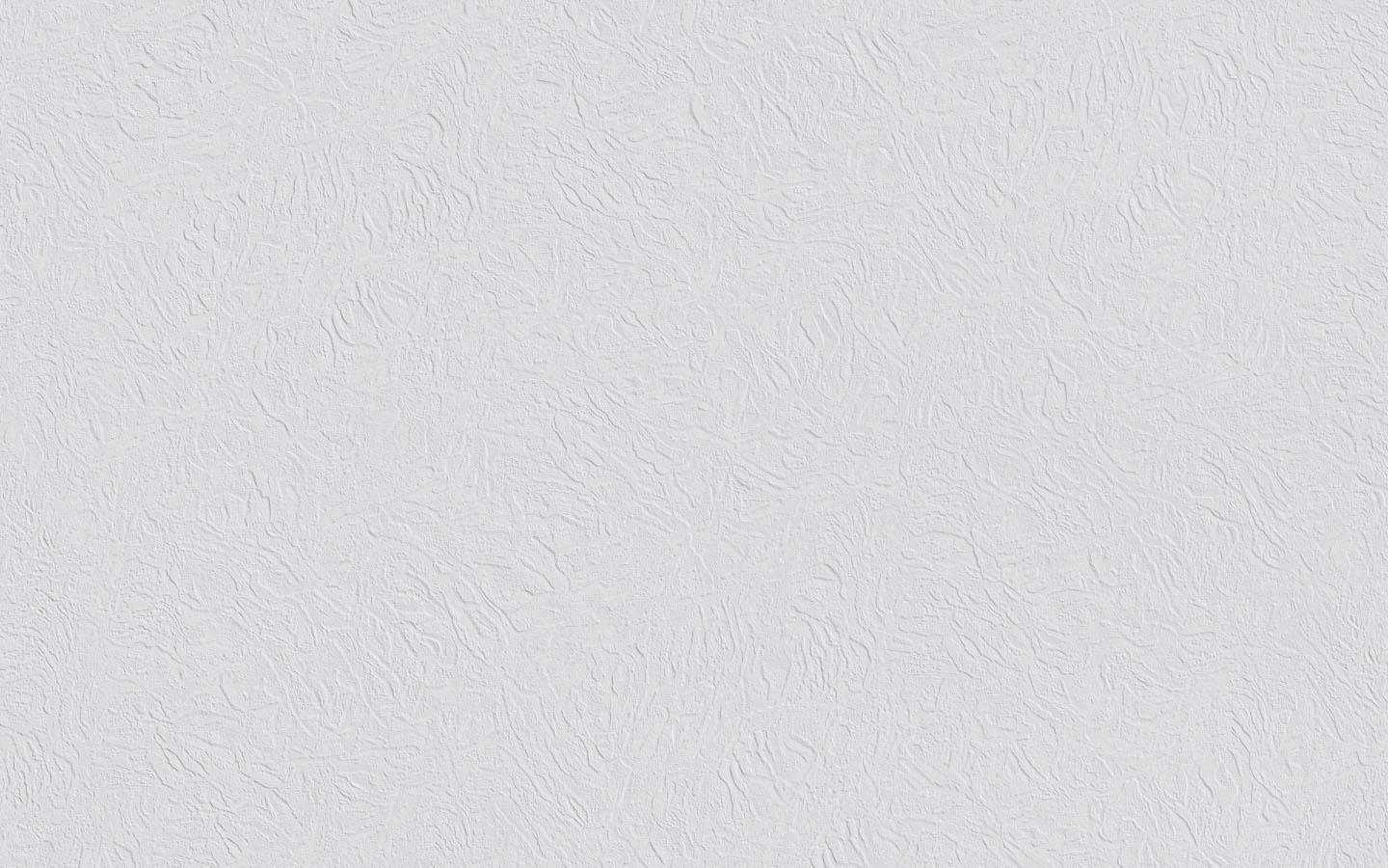 Erfurt Vliestapete Basic Basic weiß B/L: ca. 53x1005 cm Basic - weiß (53,00/1005,00cm) - Erfurt
