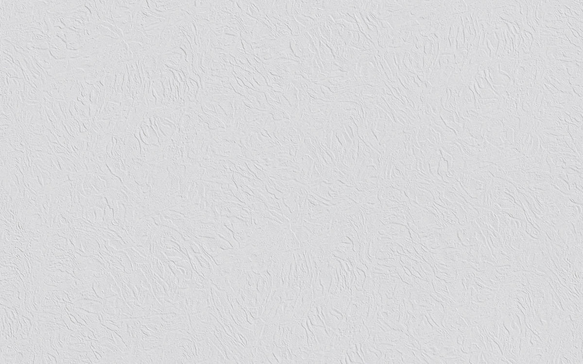 Erfurt Vliestapete Basic Basic weiß B/L: ca. 53x1005 cm Basic - weiß (53,00/1005,00cm) - Erfurt