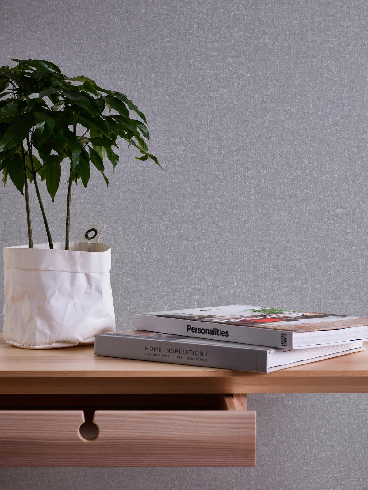 A.S.Creation Vliestapete Terra Uni grau B/L: ca. 53x1005 cm Terra - grau (53,00/1005,00cm) - A.S.Creation