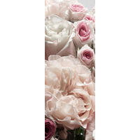 Komar Fototapete Englische Rosen B/L: ca. 100x280 cm Englische Rosen - (100,00/280,00cm) - Komar