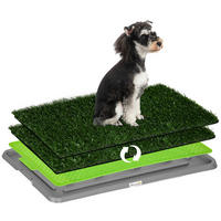 PawHut Hundetoilette grün Kunststoff B/H/L: ca. 41x3,5x67 cm Hundetoilette - grün (67,00/41,00/3,50cm) - PawHut