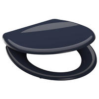 Duroplast WC-Sitz ANTHRAZIT anthrazit Duroplast B/H/T: ca. 37,5x5,5x45 cm ANTHRAZIT - anthrazit (37,50/5,50/45,00cm) - SCHÜTTE