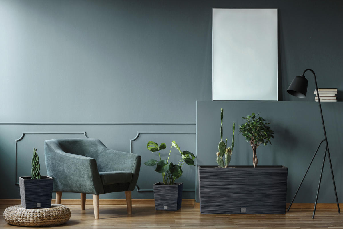 Prosperplast Blumentopf FURU anthrazit Kunststoff B/H/L: ca. 23,5x41x77 cm FURU - anthrazit (77,00/23,50/41,00cm) - Prosperplast