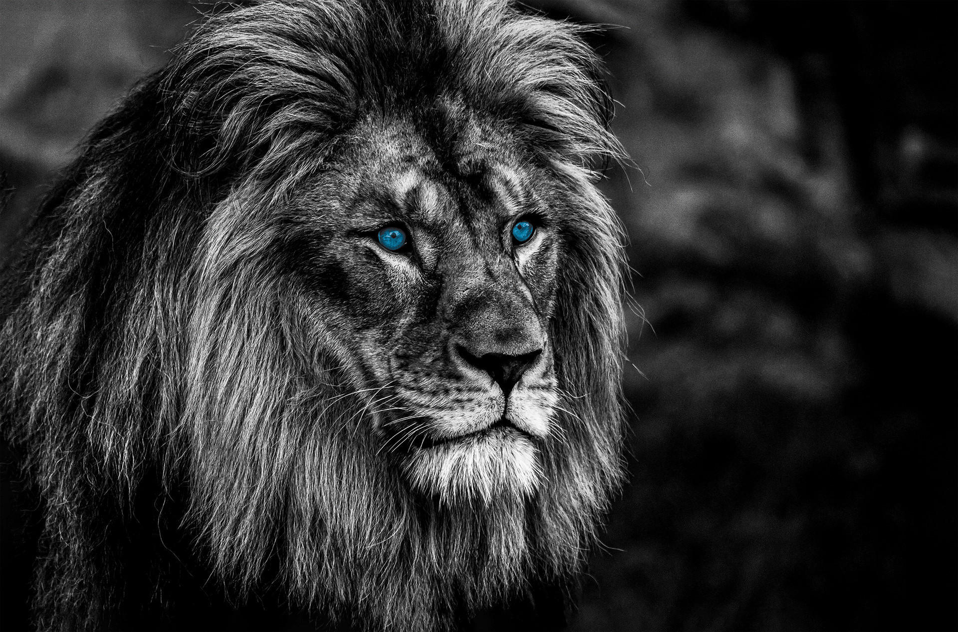 Keilrahmenbild Keilrahmenbild 78x118cm - (78,00/118,00cm)