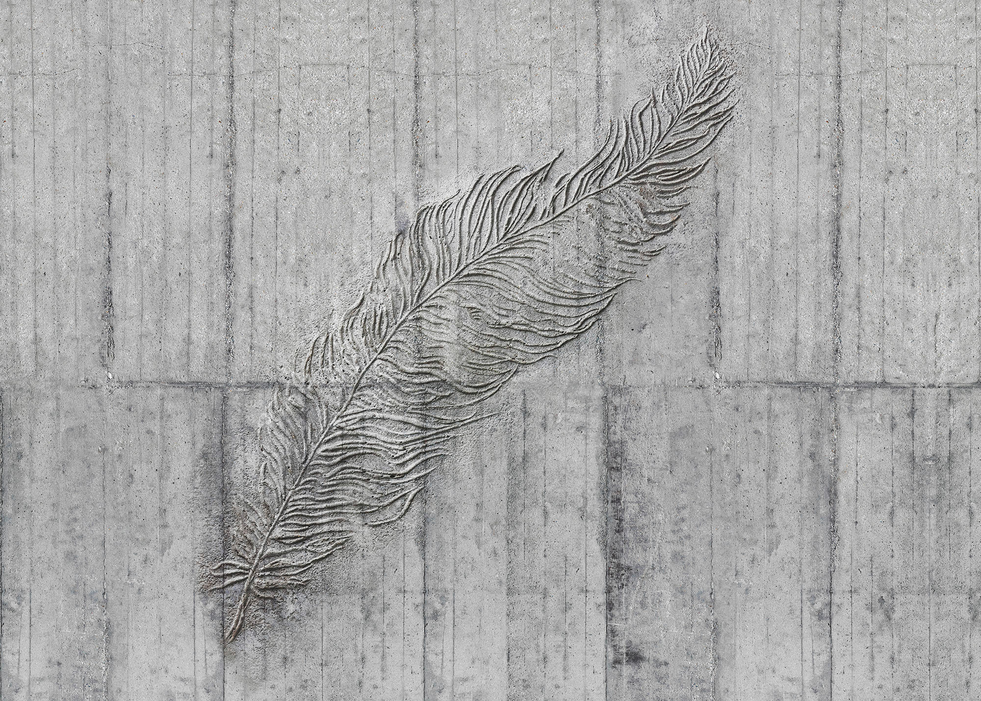 Komar Fototapete Concrete Feather B/L: ca. 350x250 cm