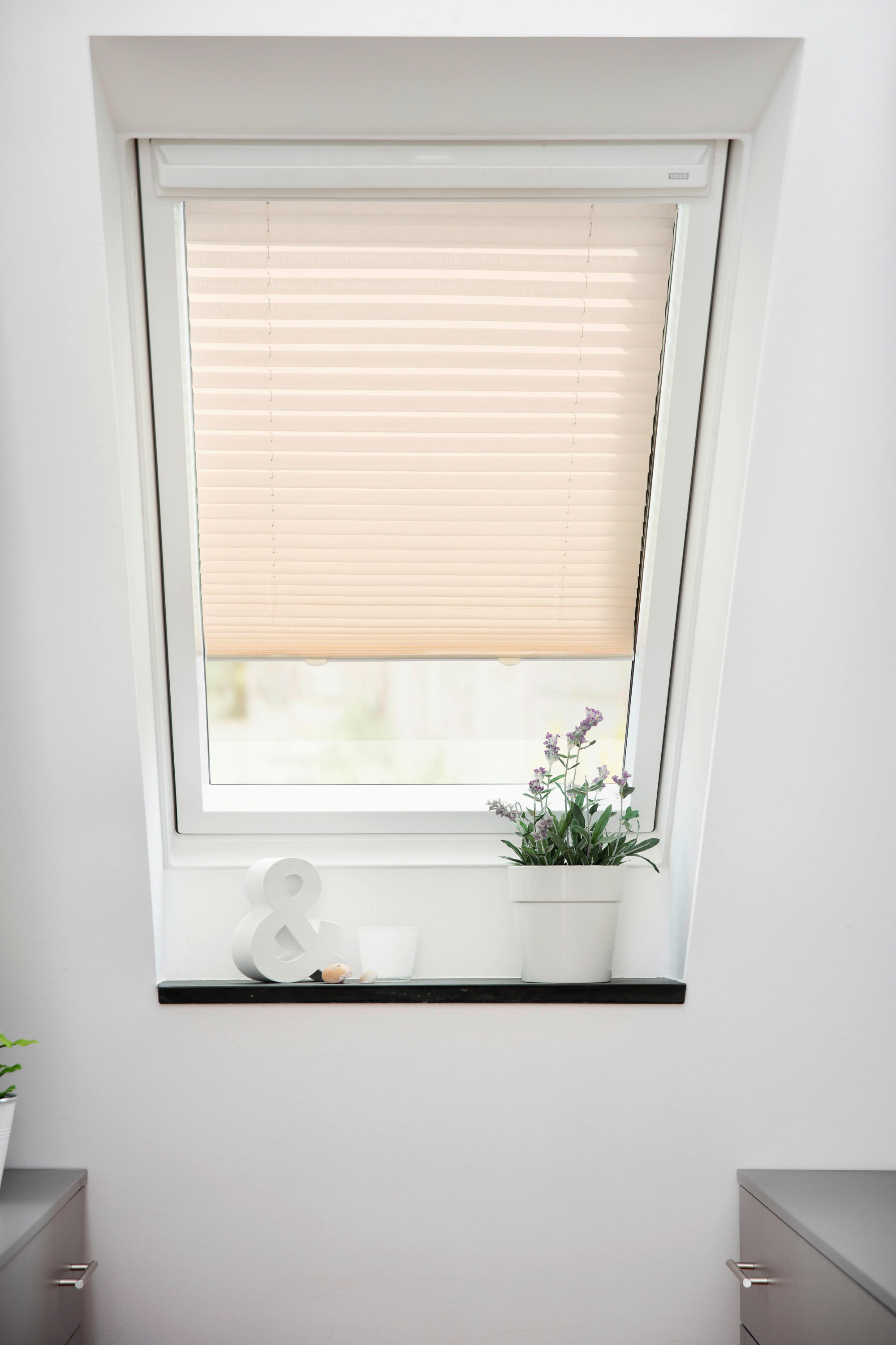 Dachfensterplissee creme B/L: ca. 36,3x60 cm Plissee_für_Dachfenster_Haftfix - creme (36,30/60,00cm) - LICHTBLICK