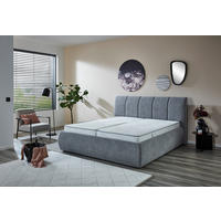 Polsterbettgestell Vail silber Vail - silber (190,00/54,00/200,00cm)