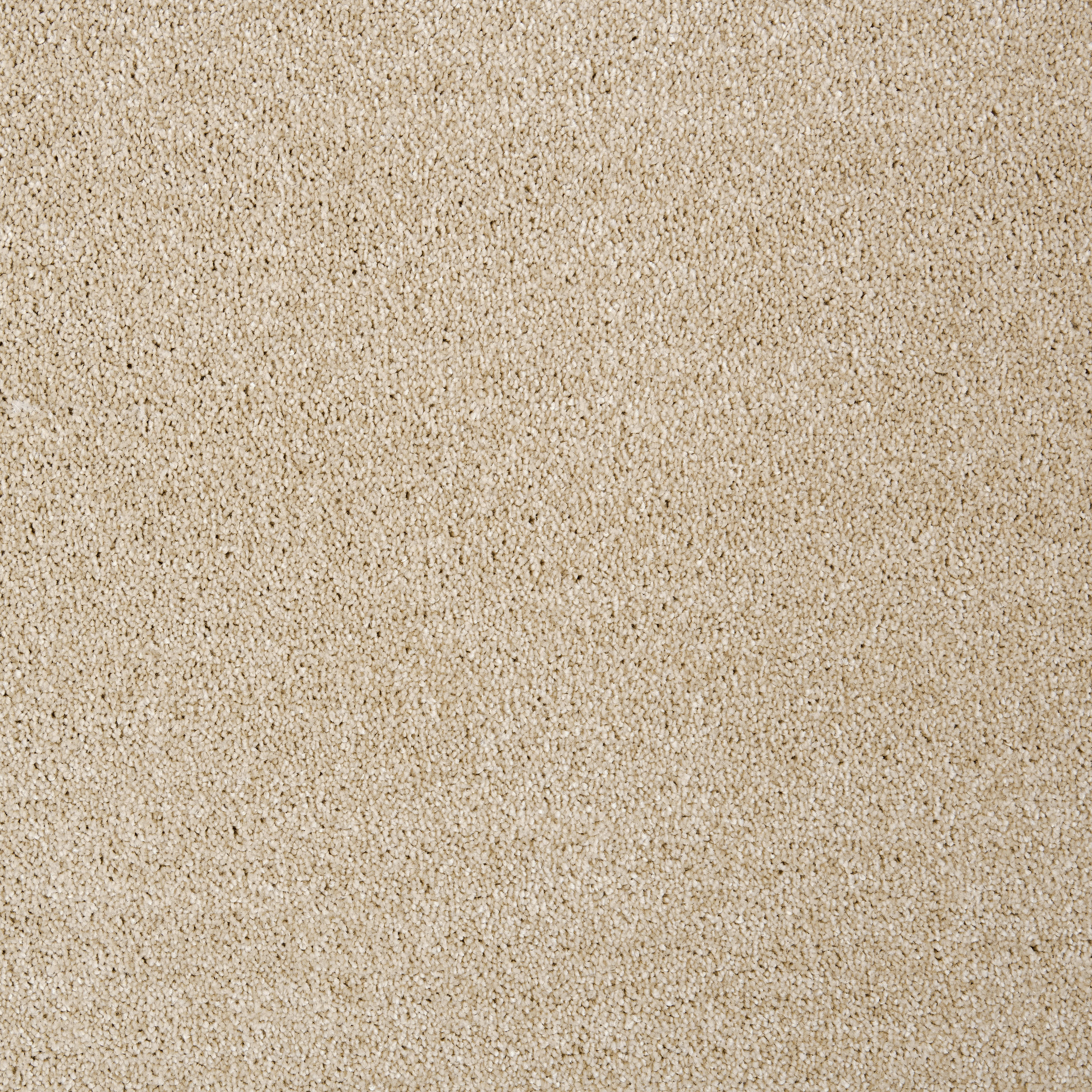 Teppichboden Nobilis beige B: ca. 500 cm pro m² Nobilis - beige (500,00cm)