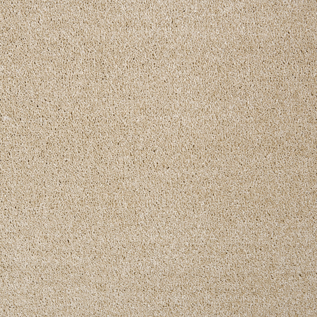 Teppichboden Nobilis beige B: ca. 400 cm pro m² Nobilis - beige (400,00cm)