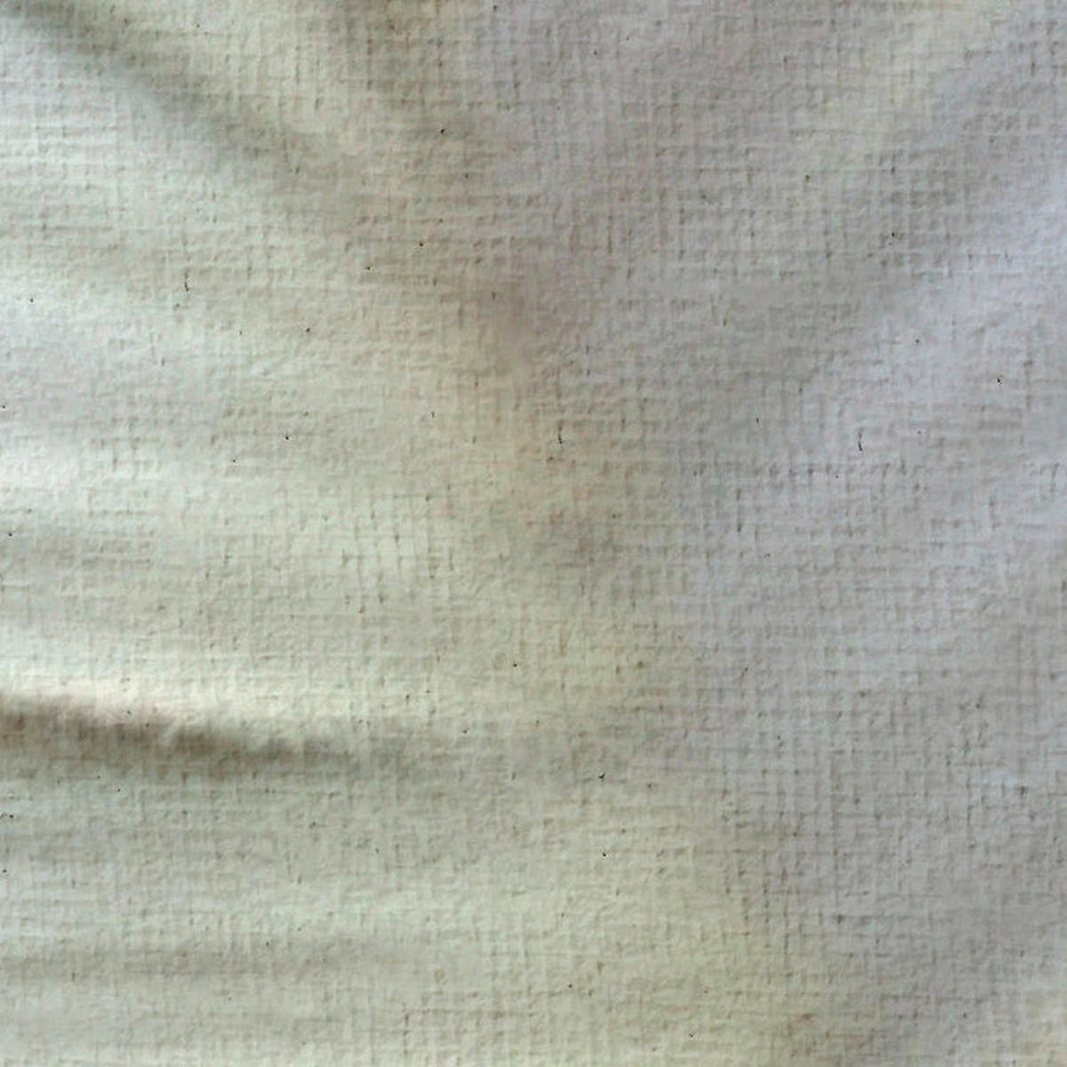 Komar Fototapete Vague Botany B/L: ca. 200x250 cm Vague Botany - (200,00/250,00cm) - Komar