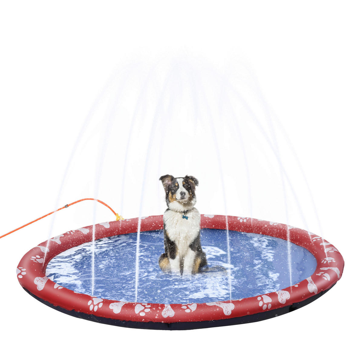 PawHut Hunde-Planschbecken rot Kunststoff B/H/L: ca. 170x1x170 cm Hunde-Planschbecken - rot (170,00/170,00/1,00cm) - PawHut