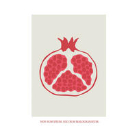 Komar Poster Cultivated Pomegranate Spruch B/L: ca. 30x40 cm Cultivated Pomegranate - (30,00/40,00cm) - Komar