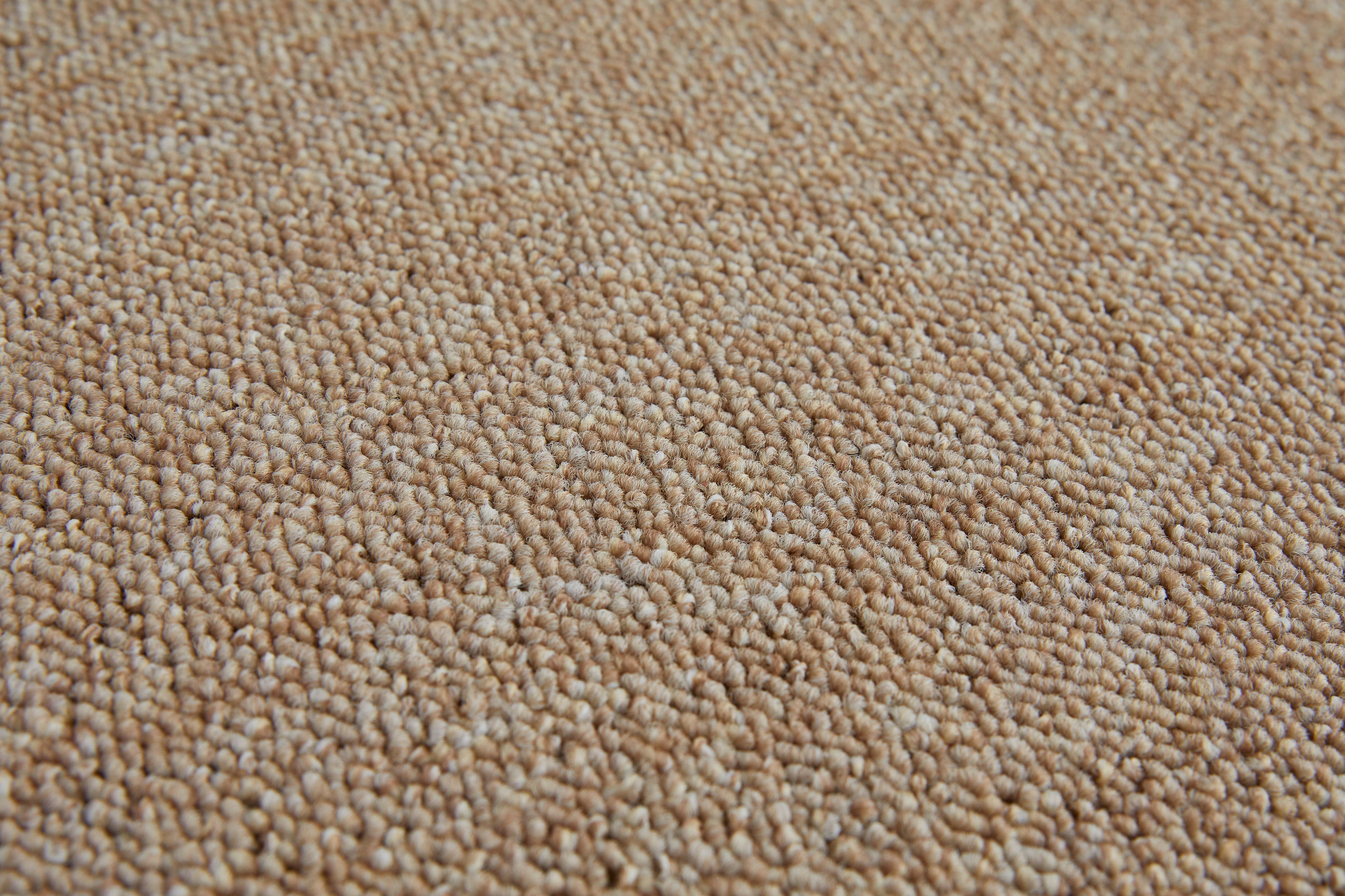 Teppichboden Rico beige B/L: ca. 200x300 cm pro Stück Rico - beige (200,00/300,00cm)