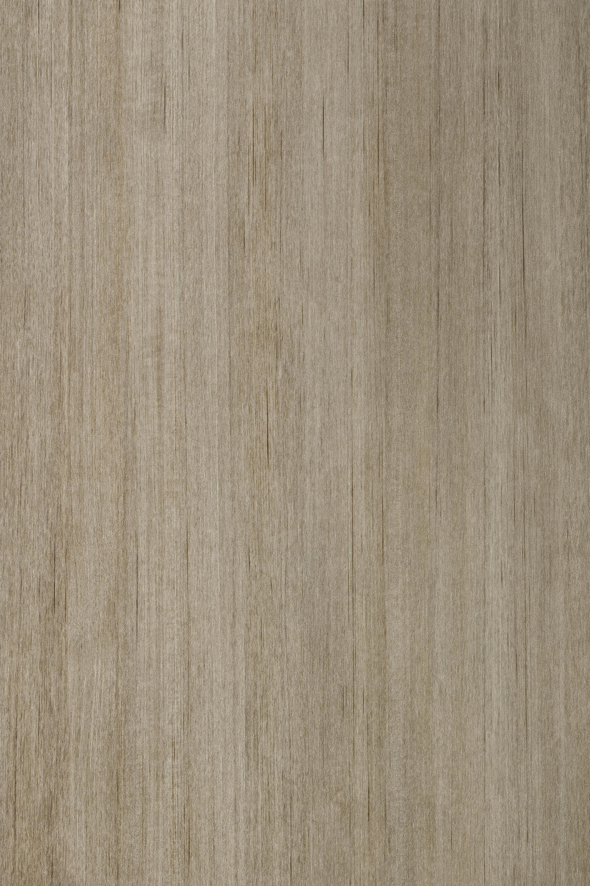 Klebefolie Holzoptik Greige B/L: ca. 67,5x200 cm Klebefolie_d-c-fix_F3468225 - Greige (67,50/200,00cm)