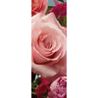 Komar Fototapete Rosenduft B/L: ca. 100x280 cm Rosenduft - (100,00/280,00cm) - Komar