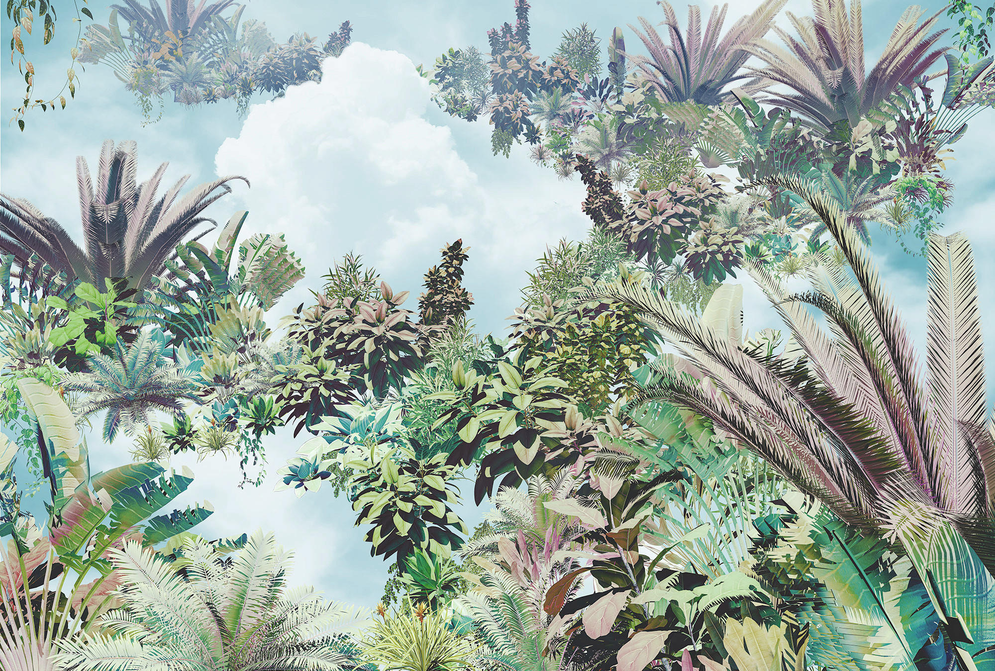 Komar Fototapete multicolor B/H: ca. 268x248 cm Tropical Heaven XXL4-1025 - multicolor (268,00/248,00cm)