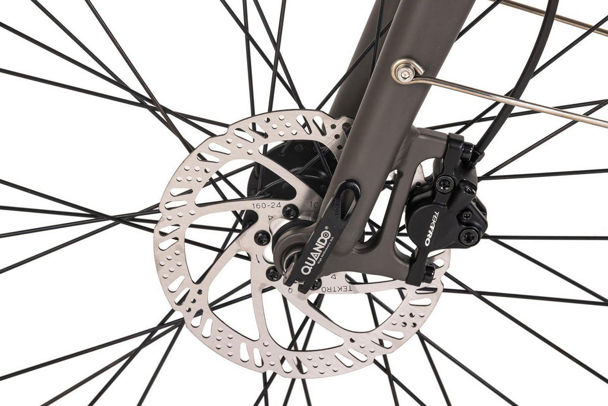 Hollandia Alu E-Cityrad Mantova Mantova 28'' 28 Zoll Rahmenhöhe 52 cm 7 Gänge grau grau ca. 250 W ca. 36 V ca. 28 Zoll Mantova - grau - Hollandia