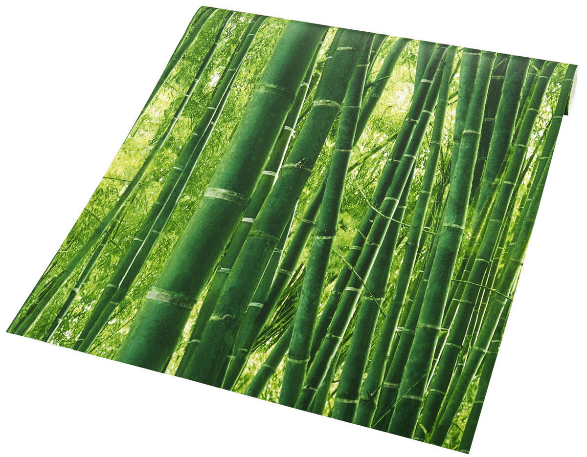 Papiertapete Bambus grün B/L: ca. 53x1005 cm Papiertapete_9387-18 - grün (53,00/1005,00cm)