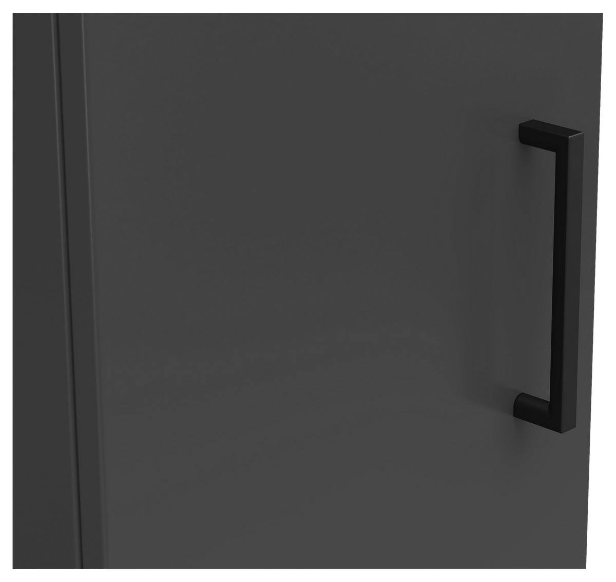 Schrank Multi-Stauraum Typ 6 anthrazit B/H/T: ca. 30x115x40 cm Multi-Stauraum Typ 6 - anthrazit (30,00/115,00/40,00cm)