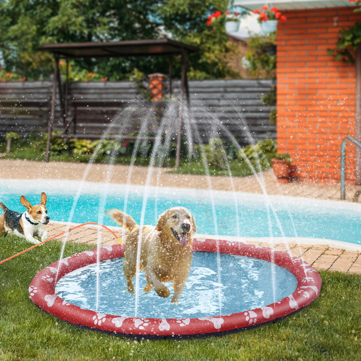 PawHut Hunde-Planschbecken rot Kunststoff B/H/L: ca. 170x1x170 cm Hunde-Planschbecken - rot (170,00/170,00/1,00cm) - PawHut
