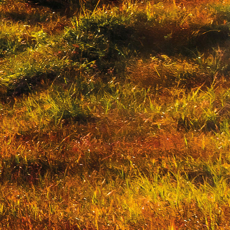 Komar Fototapete Norwegische Herbstwelten B/L: ca. 450x280 cm Norwegische Herbstwelten - (450,00/280,00cm) - Komar