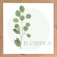 Gerahmtes Bild Bild_Cheb 35x35cm - (35,00/35,00cm)