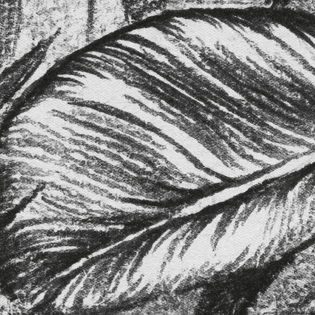 Komar Fototapete Léopards B/L: ca. 350x250 cm Léopards - (350,00/250,00cm) - Komar