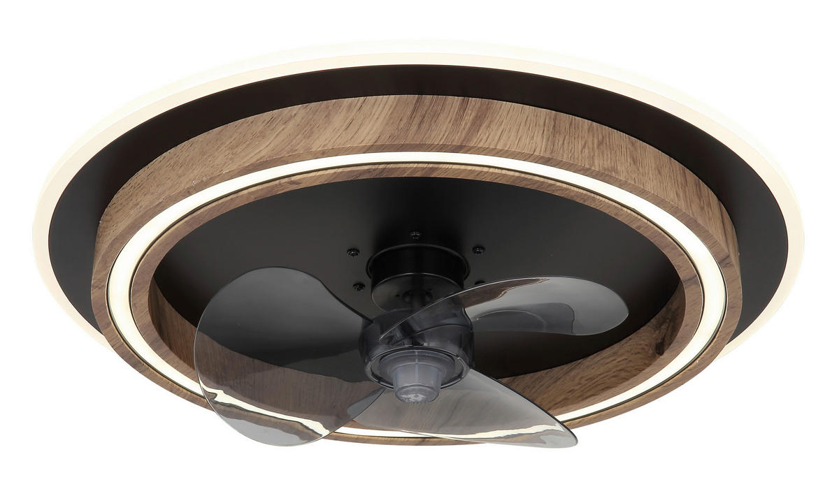 GLOBO Deckenventilator Opal schwarz dunkelbraun H/D: ca. 13,5x50 cm max. 32 W BOZAN - dunkelbraun/schwarz (50,00/13,50cm) - GLOBO