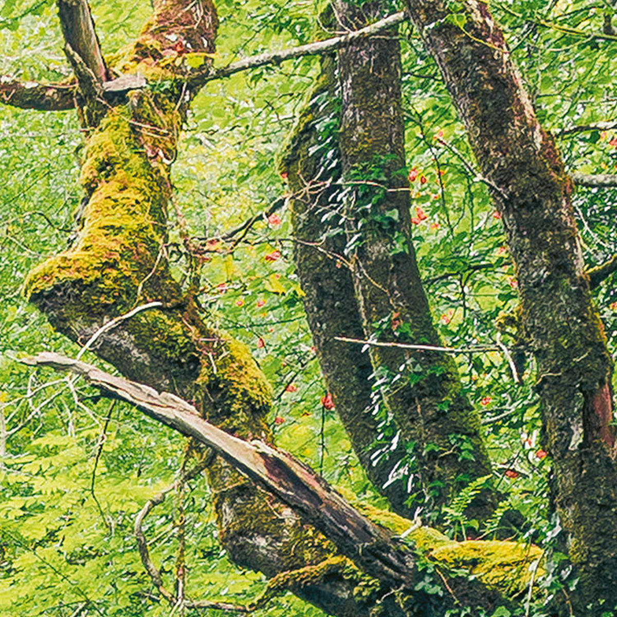 Komar Fototapete Green Tales B/L: ca. 400x250 cm Green Tales - (400,00/250,00cm) - Komar