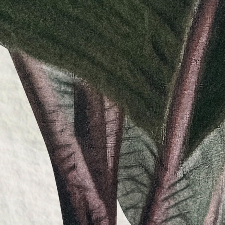 Komar Fototapete Jungle Spot B/L: ca. 400x250 cm Jungle Spot - (400,00/250,00cm) - Komar