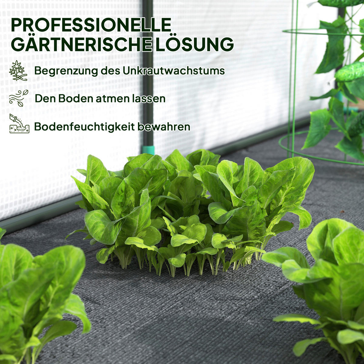 Outsunny Gewächshaus B/H/L: ca. 80x157x200 cm Gewächshaus - weiß (200,00/80,00/157,00cm) - Outsunny