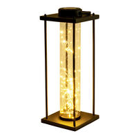 LED-Solarleuchte 5294922 schwarz Metall Glas B/H/T: ca. 16,5x51,5x16,5 cm LED Solarleuchte "FAIRYLIGHT" - schwarz (16,50/51,50/16,50cm) - Näve Leuchten