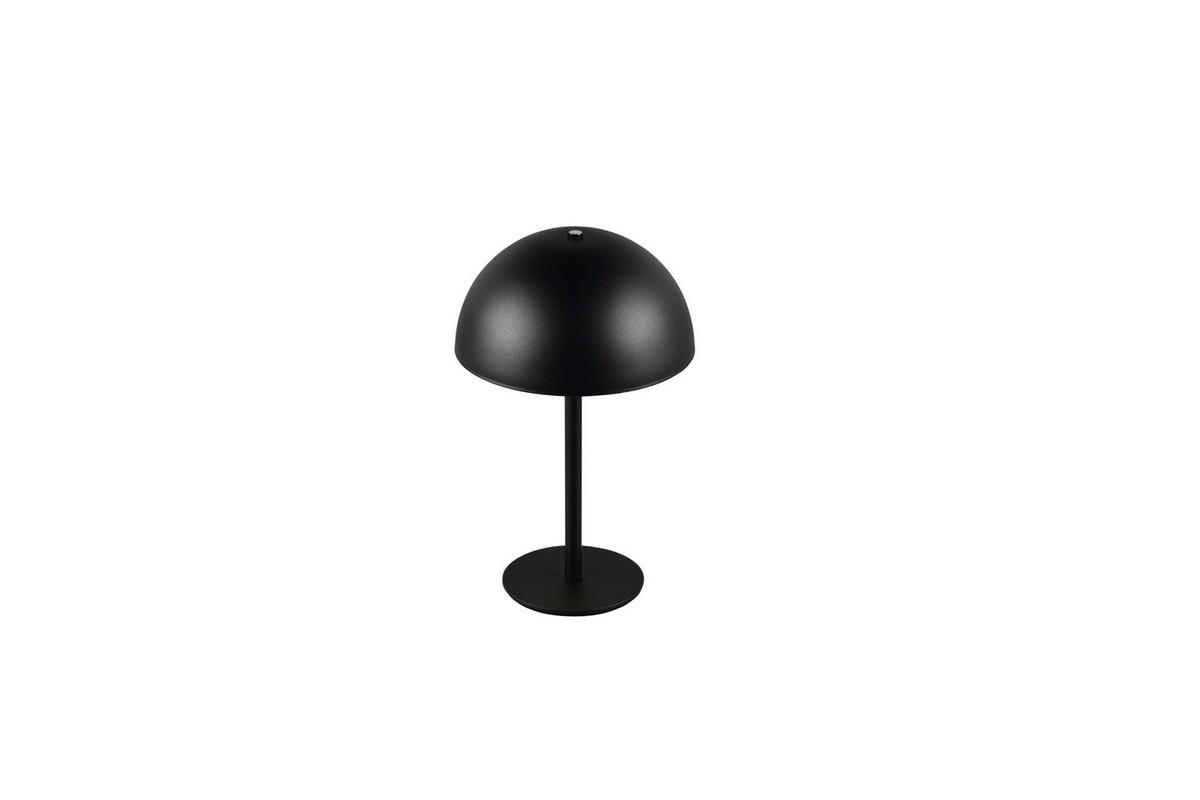 Reality LED Tischleuchte MUNOZ mattschwarz Metall H: ca. 21 cm 1 Brennstellen Munoz - mattschwarz (21,00cm) - Reality