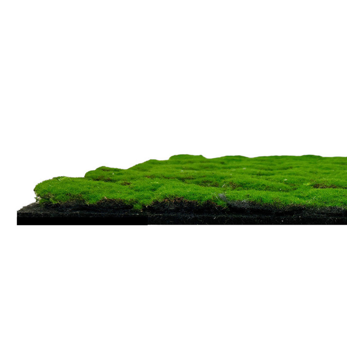 Wand-und Akustikpaneel grün L/B/H: ca. 52x52x0,2 cm pro Stück Wandpaneel 52x52 Moos - grün (52,00/52,00/0,20cm)