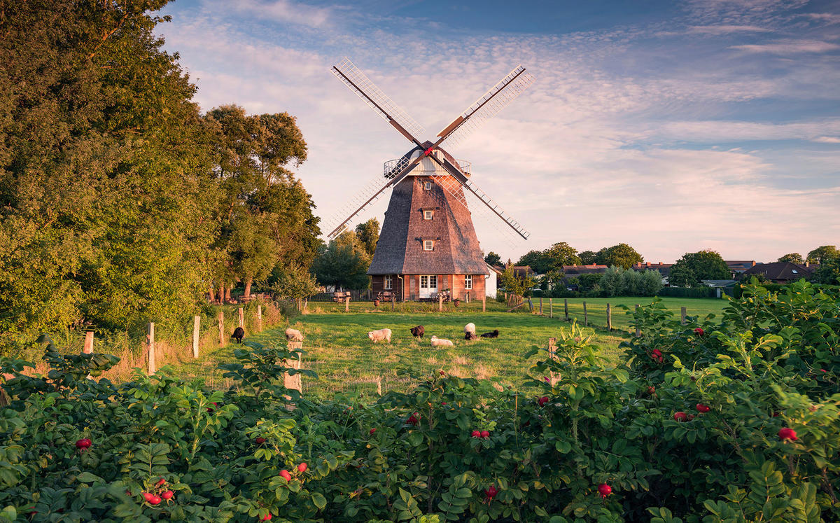 Komar Fototapete Tage wie Diese B/L: ca. 450x280 cm Tage wie Diese - (450,00/280,00cm) - Komar