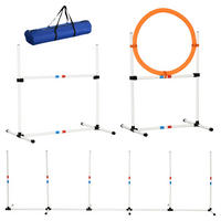 PawHut Outdoor-Aktivitäten gelb Polypropylen B/H/L: ca. 67x323x94,5 cm Agility-Ausrüstung - weiß/gelb (94,50/67,00/323,00cm) - PawHut