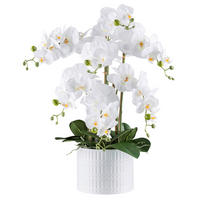 Kunstpflanze Phalaenopsis weiß Kunststoff B/H/L: ca. 24x62x24 cm Phalaenopsis - weiß (24,00/24,00/62,00cm)