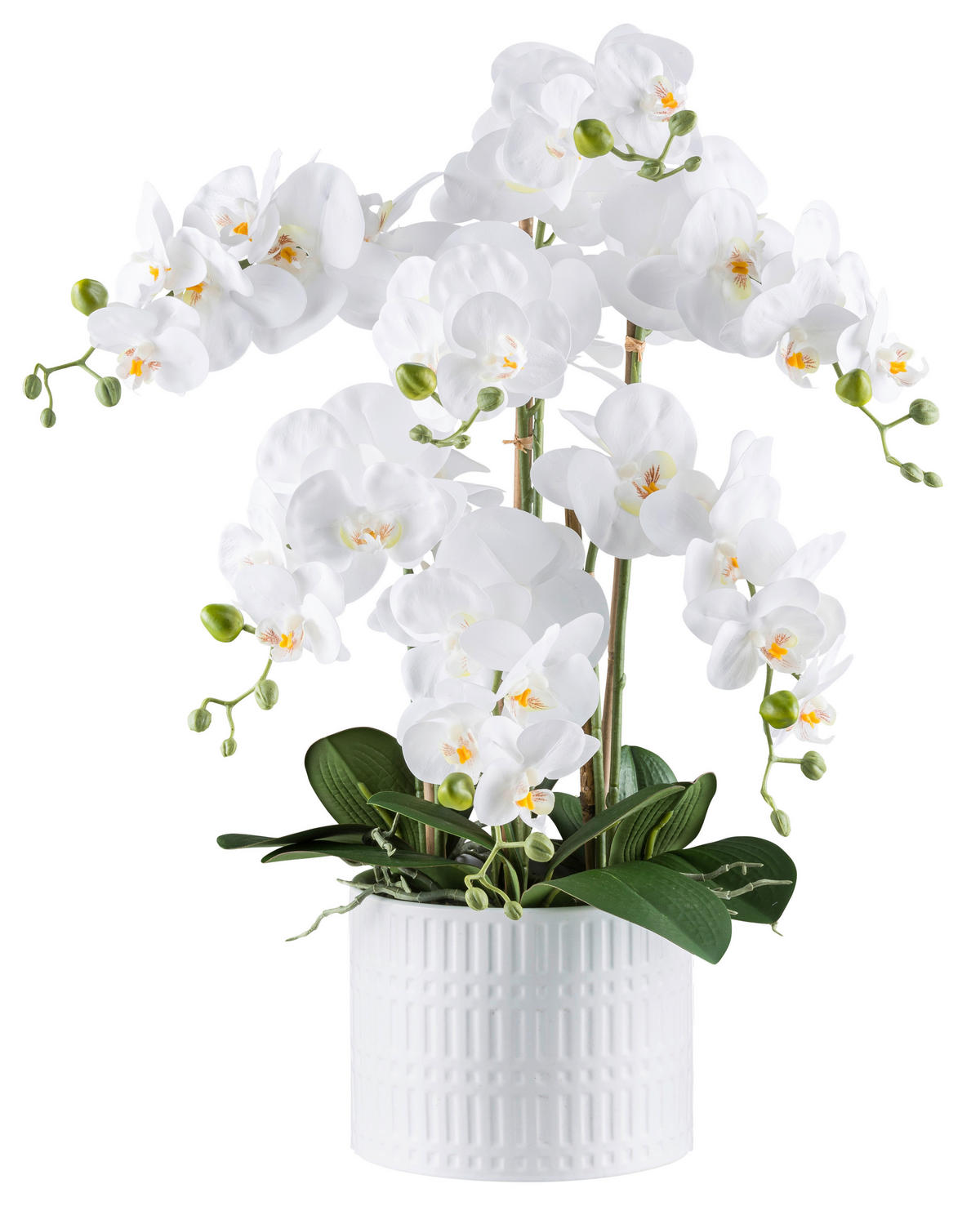 Kunstpflanze Phalaenopsis weiß Kunststoff B/H/L: ca. 24x62x24 cm Phalaenopsis - weiß (24,00/24,00/62,00cm)