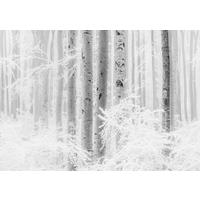 Komar Fototapete Winter Wood B/L: ca. 400x280 cm Winter Wood - (400,00/280,00cm) - Komar